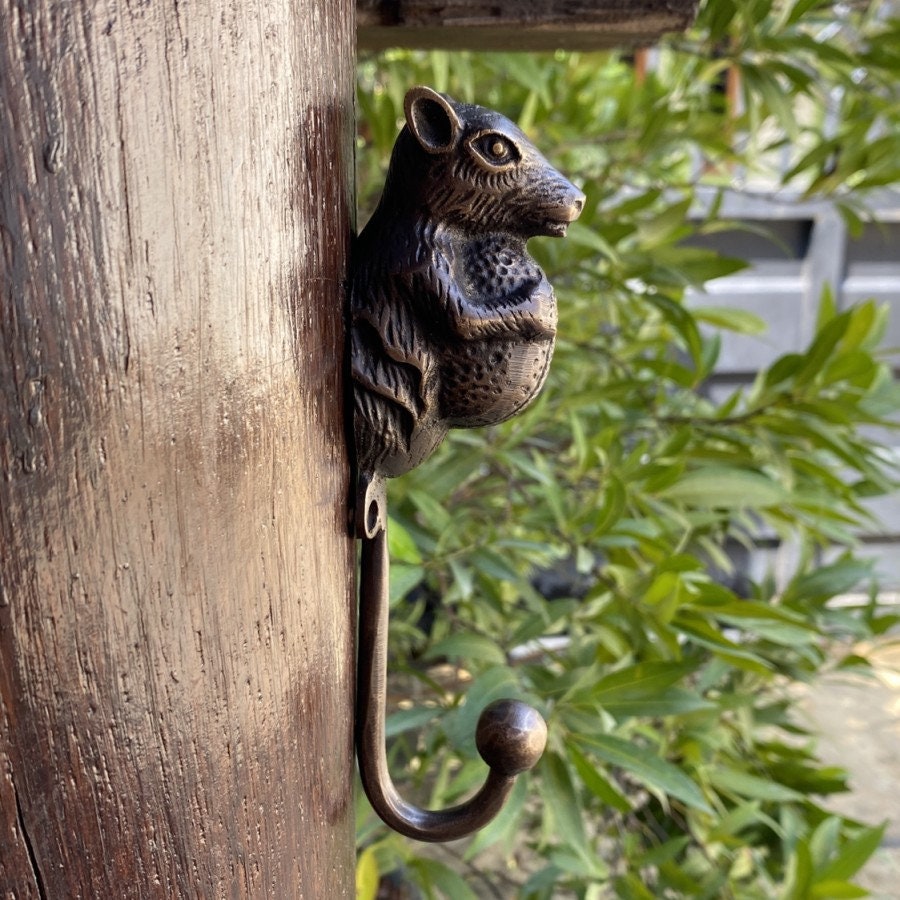 Vintage Antique Squirrel walnut Head hook Hanger Solid Brass Vintage Hook Animal Hat Coat Strong Wall Mount Brass Hook