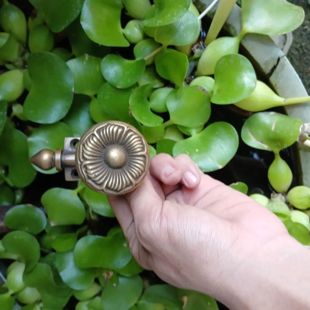 Lot Of 2 Pieces 2.95" inches Vintage Flower Petals Solid Brass Antique Hat Coat Strong Wall Mount HOOK Hanger