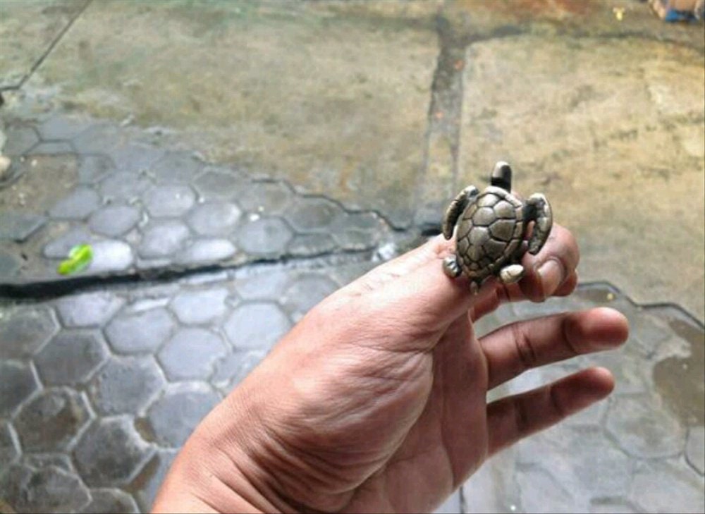 Lot of 4 pcs ANTIQUE TURTLE Solid Brass Cabinet Door Brass Vintage