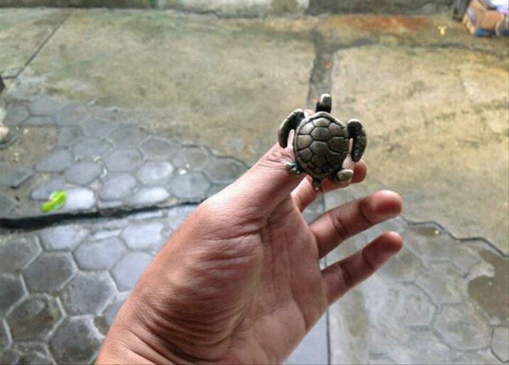 Lot of 4 pcs ANTIQUE TURTLE Solid Brass Cabinet Door Brass Vintage