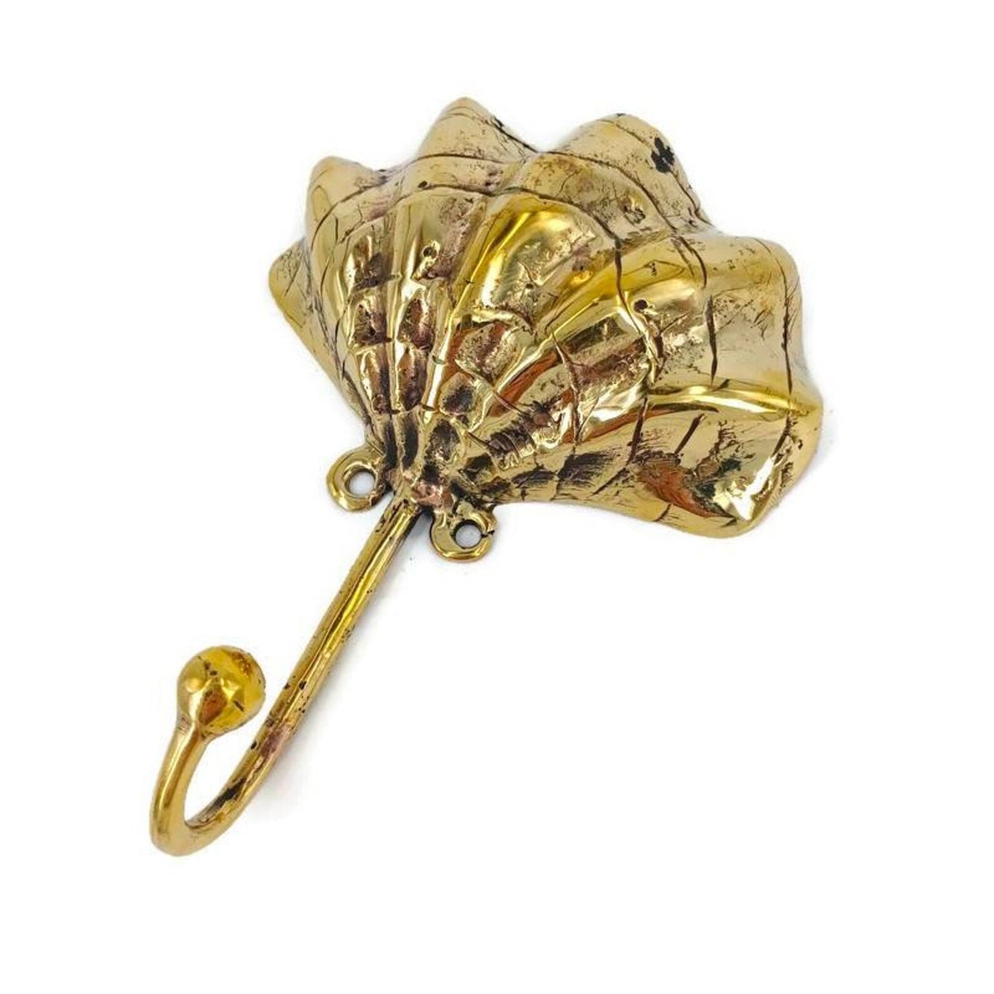 Lot of 2 pieces 2 brass scallop shell Coat Solid Brass Hook Old Style 15 cm Wall Mounted Old Style Beach hand cast 6" inch